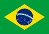Português - Brasil