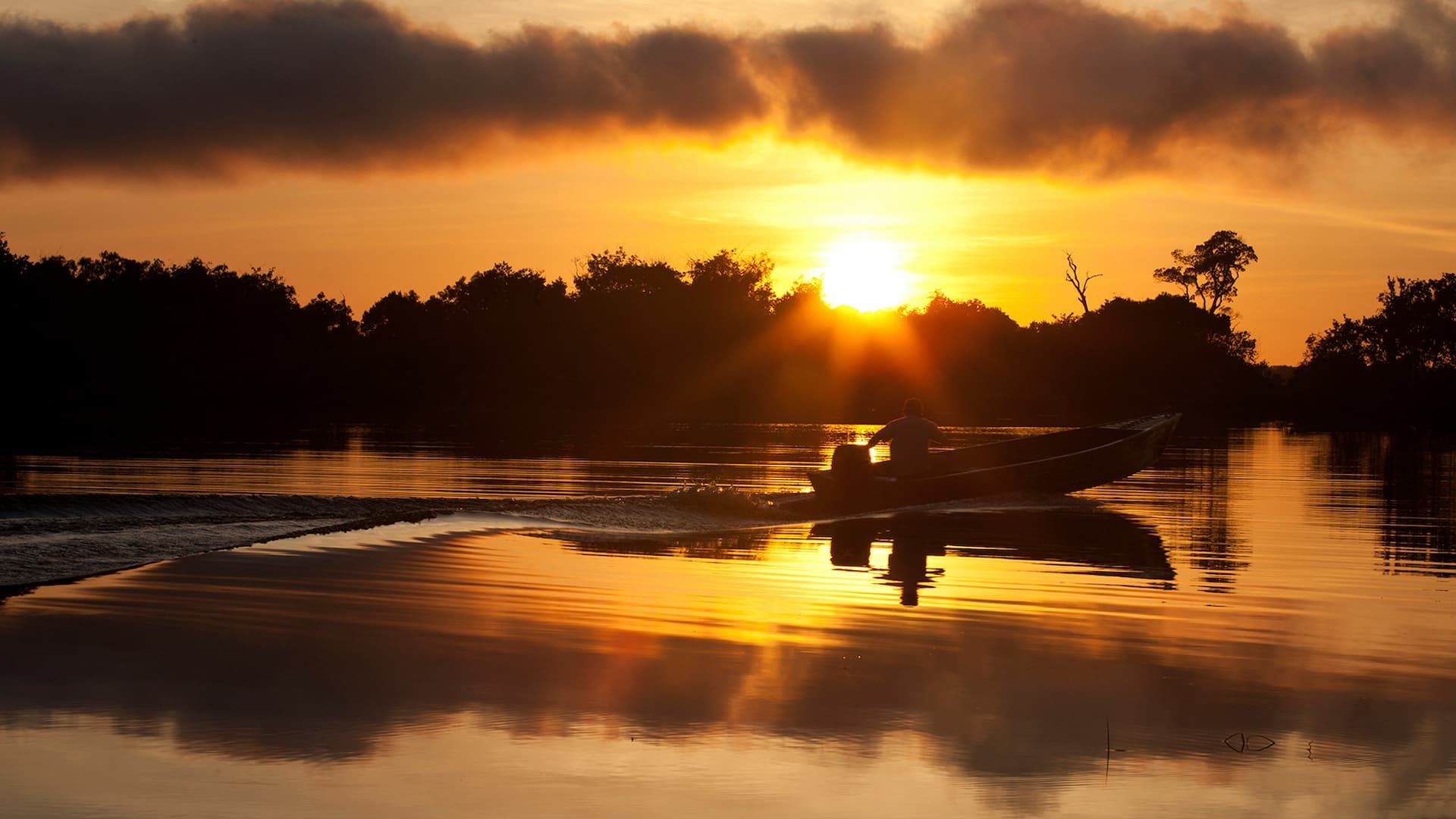 AMAZONAS