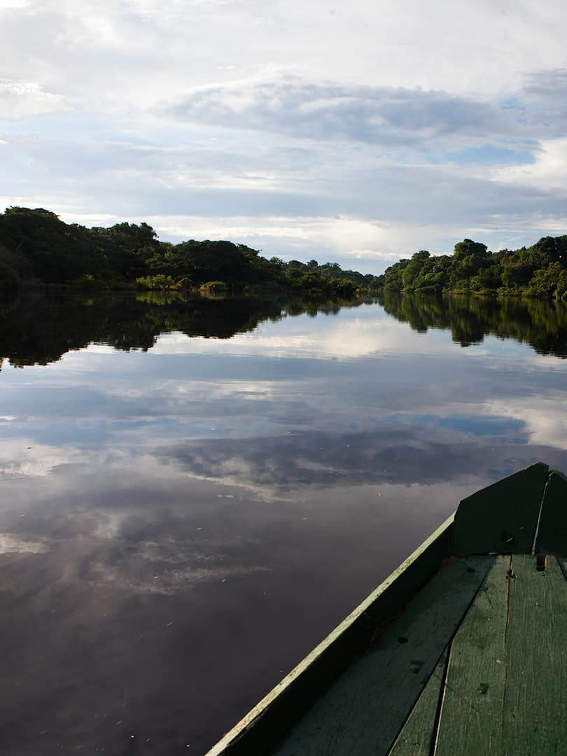 AMAZONAS