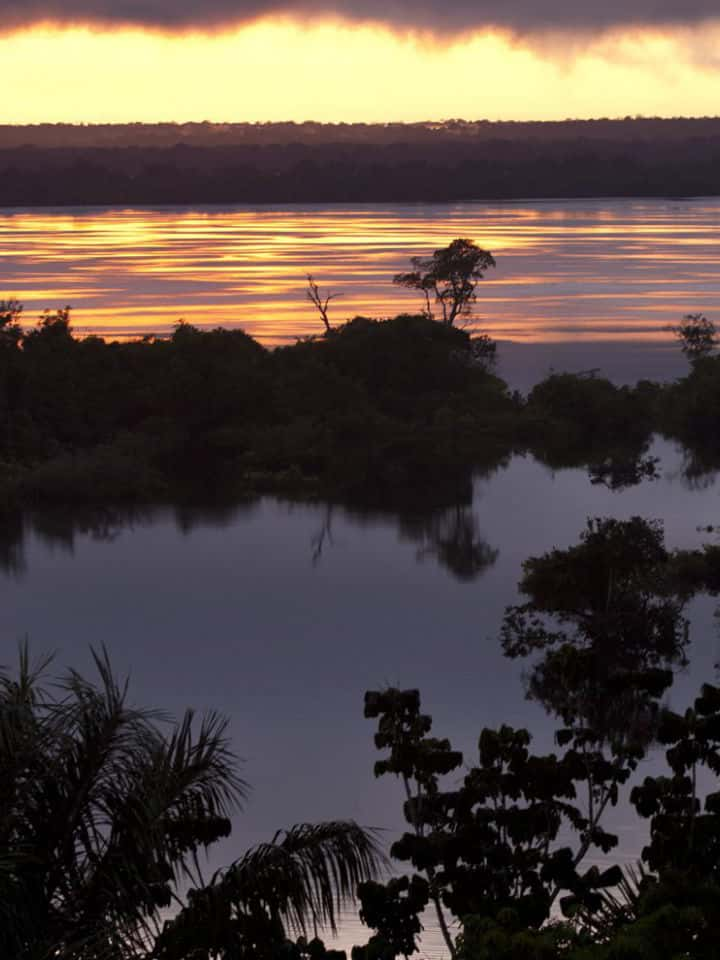 AMAZONAS