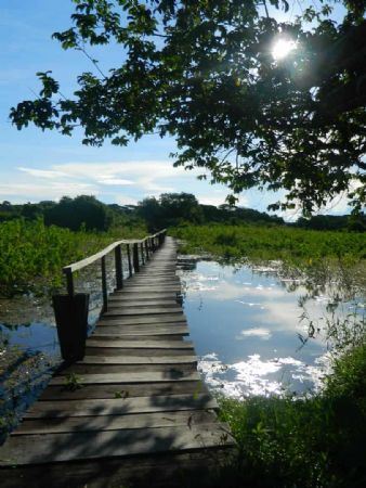 PANTANAL