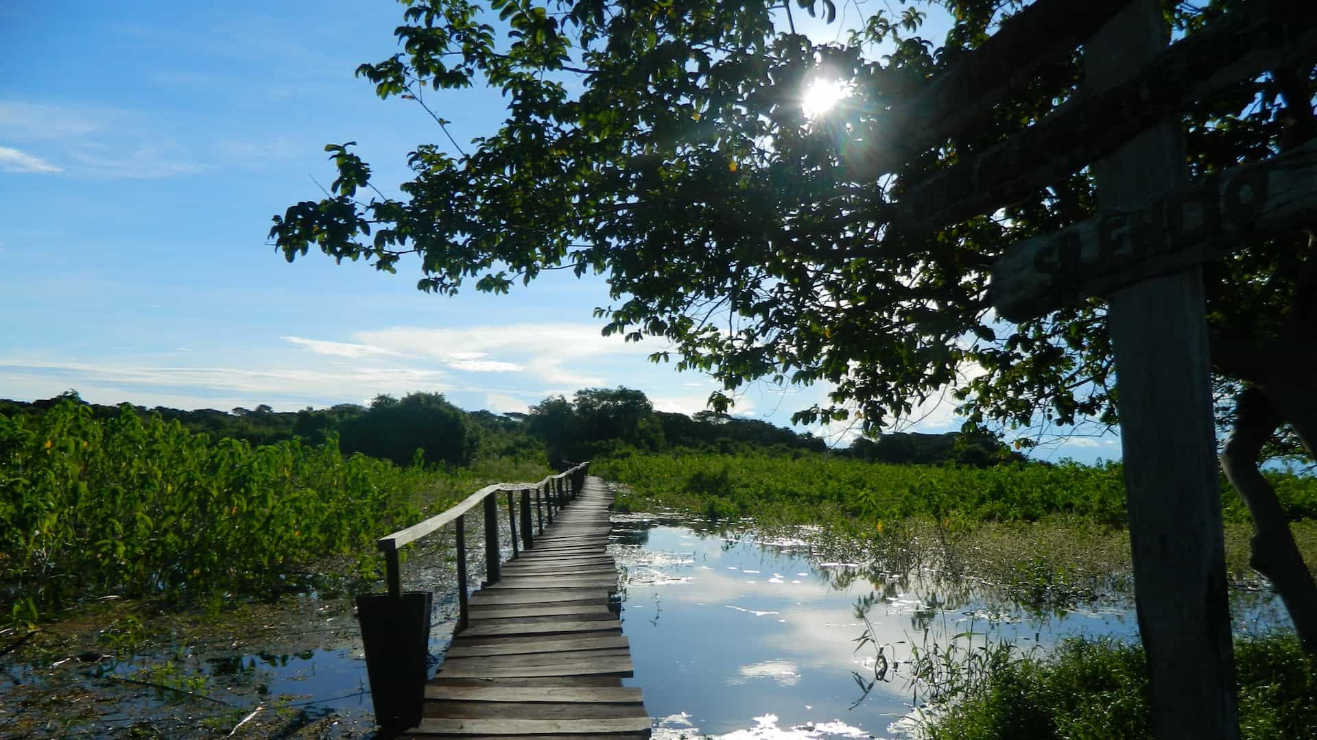 PANTANAL